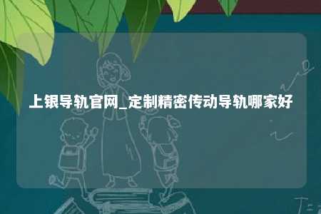 上银导轨官网_定制精密传动导轨哪家好