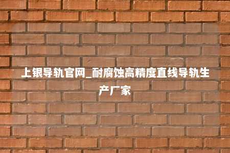 上银导轨官网_耐腐蚀高精度直线导轨生产厂家