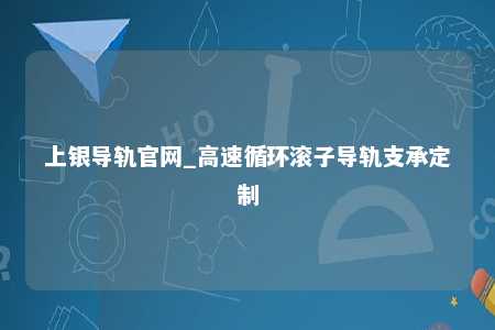 上银导轨官网_高速循环滚子导轨支承定制