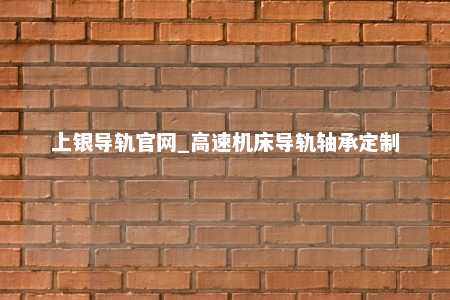 上银导轨官网_高速机床导轨轴承定制